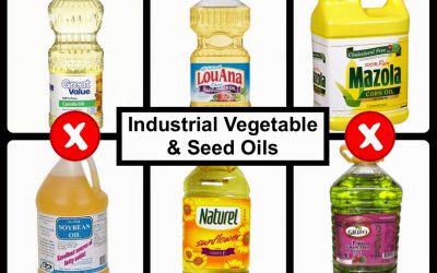 Reasons Not to Use Industrial Seed Oils – P. D. Mangan