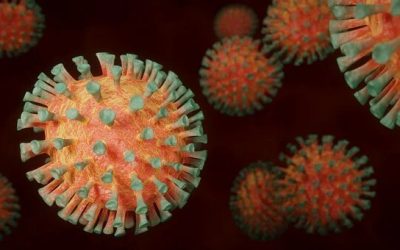Update on Knowledge of the Corona Virus