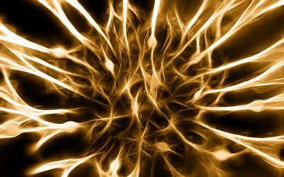 Senolytic Therapy Improves Chemotherapy-Induced Peripheral Neuropathy
